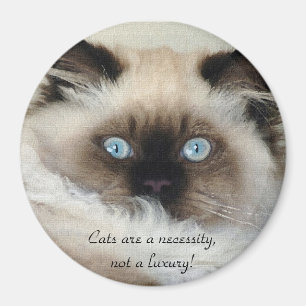 Birman - Ragdoll Cat Lover Magnet