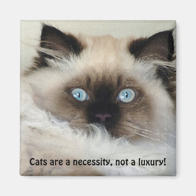 Birman - Ragdoll Cat Lover Magnet (Front)