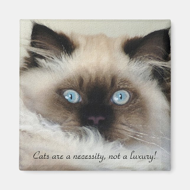 Birman - Ragdoll Cat Lover Magnet (Front)