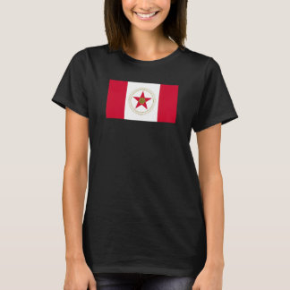 Birmingham Alabama Flag T-Shirt