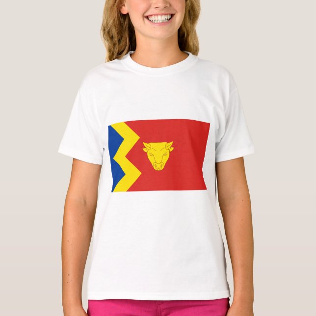 Birmingham City Flag T-Shirt (Front)