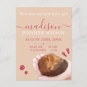 Birth announcement baby girl cute animal Postcard