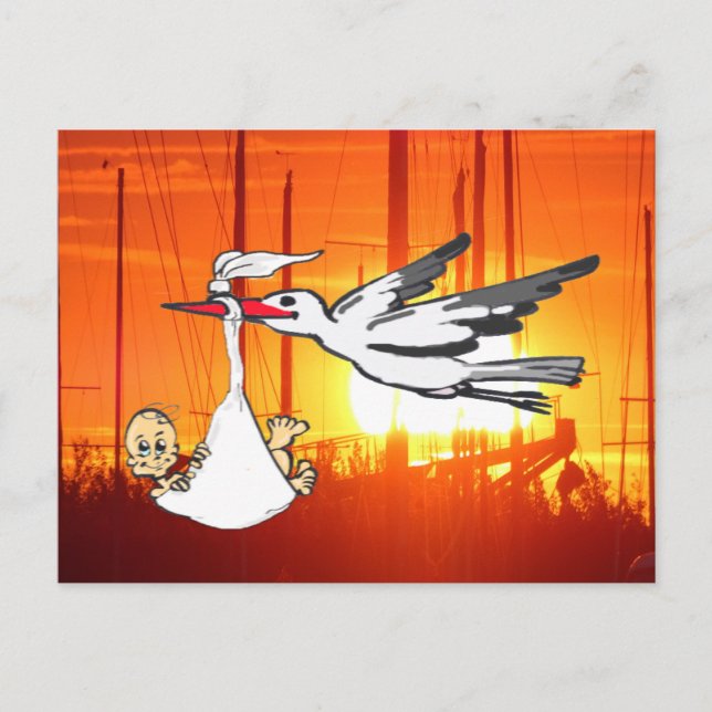 Birth Announcement Stork & Baby DIY Postcard (Front)
