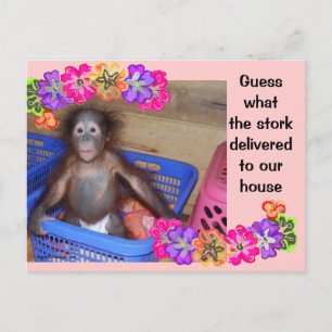 Birth Announcement template