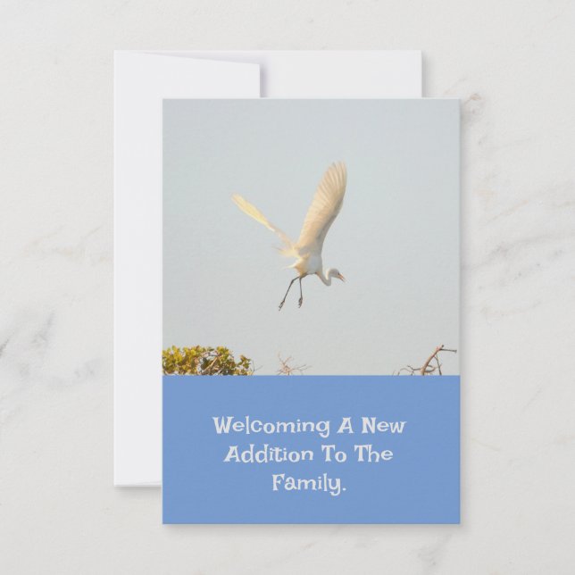 Birth Announcement With Flying Stork. (Front)