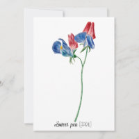 Birth Date Flower Sweet pea (April)