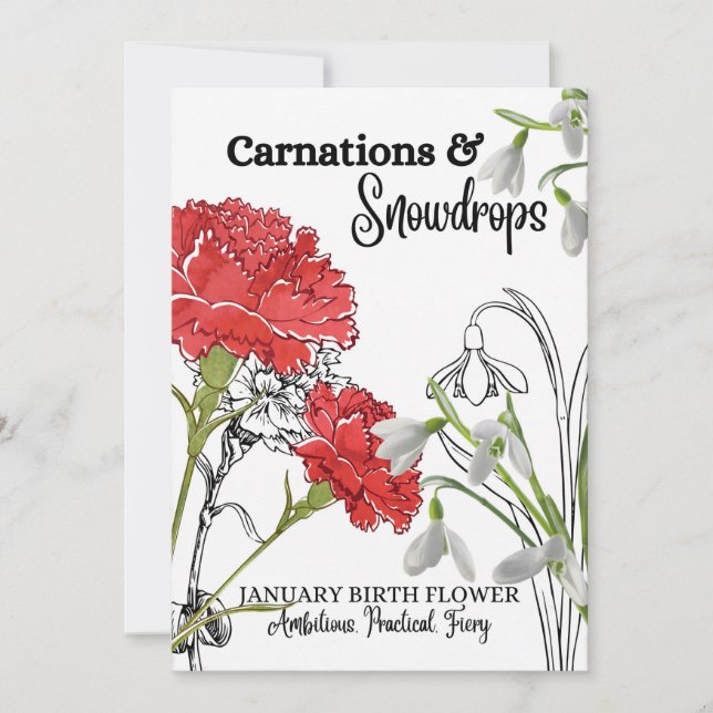 Birth Flower Card, January, Carnation, Snow Drop Holiday Card (Front)