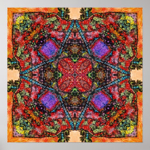 Birth Focus HR VII Print