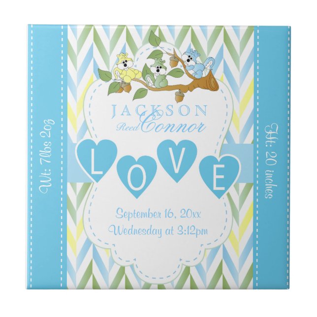 Birth Information - Pastel Blue Baby Squirrels Tile (Front)