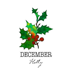 Birth Month Flower December Holly T-Shirt