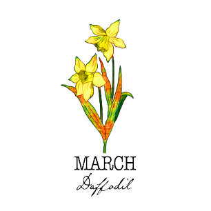 Birth Month Flower March Daffodil Cushion