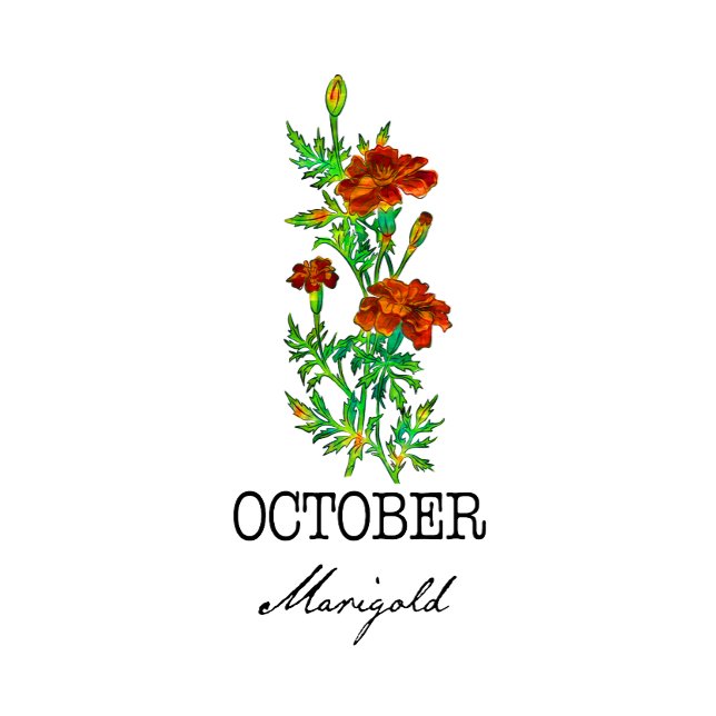 Birth Month Flower October Marigold Cushion (Creator Uploaded)