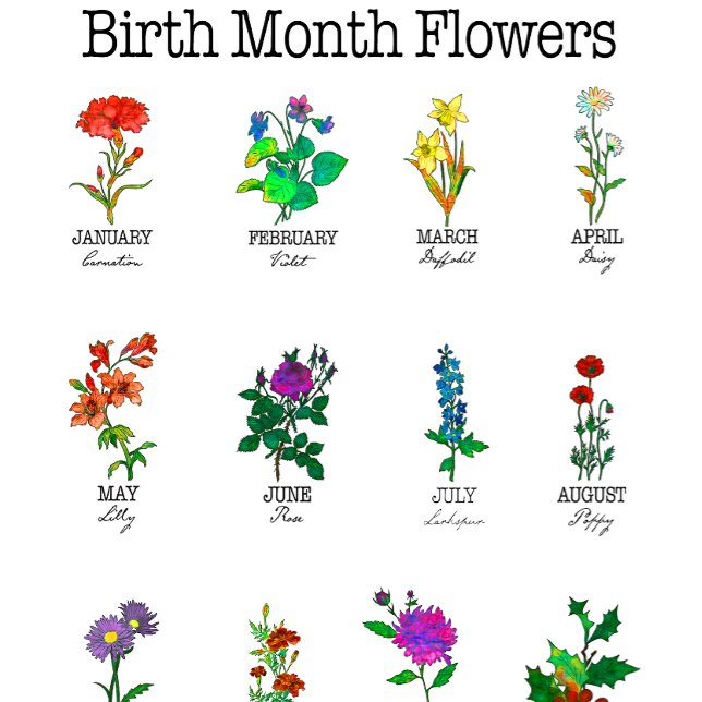 Birth Month Flowers All 12 months T-Shirt (Creator Uploaded)