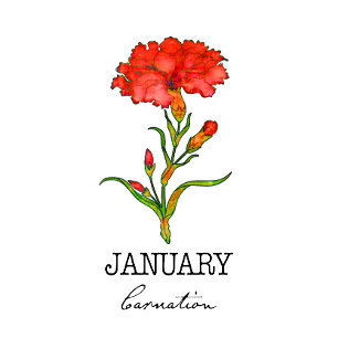 Birth Month January  Apron