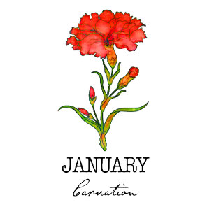 Birth Month January  T-Shirt