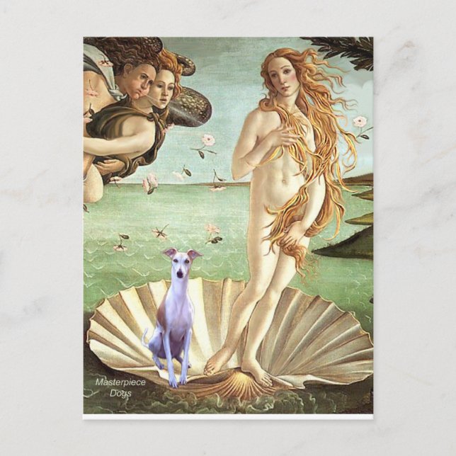 Birth of Venue - Whippet 8 Postcard (Front)