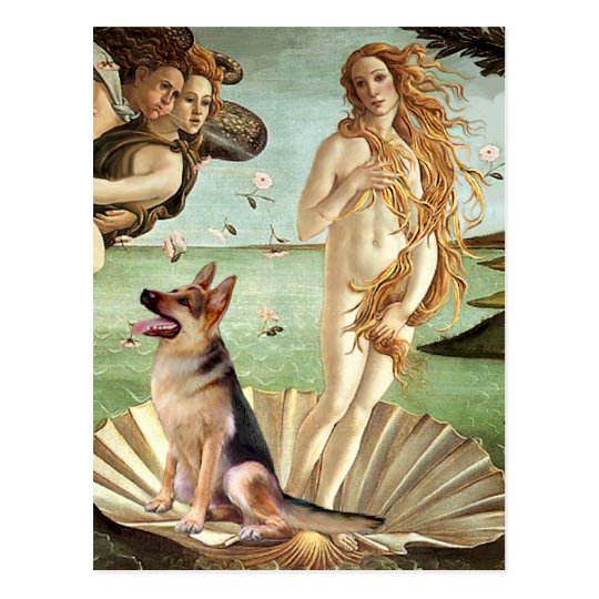 Birth of Venus - German Shepherd 1 Postcard