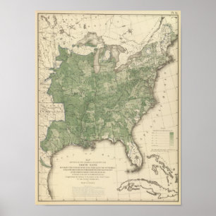 Birth Rate US, Statistical US Lithograph Poster