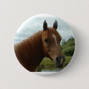 Birthday 012 6 cm round badge