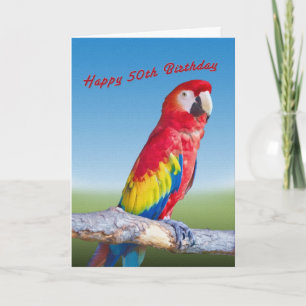 Birthday, 50th, Macaw Parrot Card