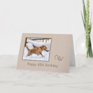 Birthday, 60th, Golden Retriever Dog in Snow Card
