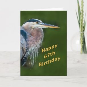 Birthday, 67th, Great Blue Heron Bird Note Card