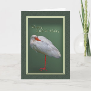 Birthday, 85th, White Ibis Bird Card