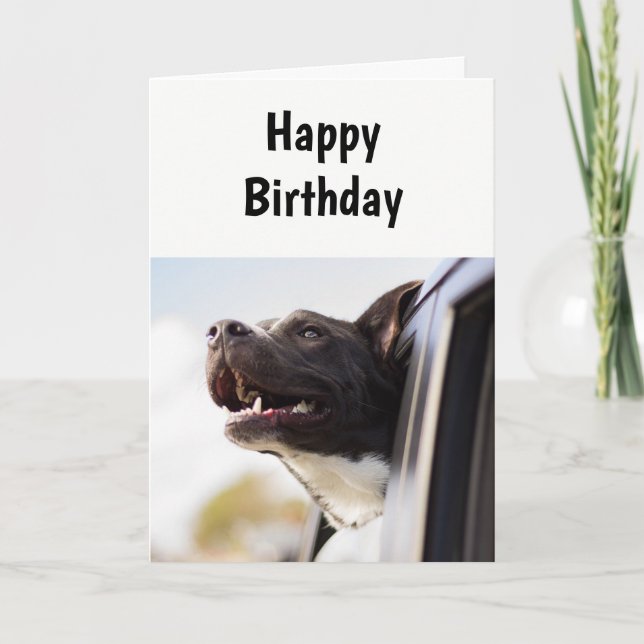 Birthday A day Like No Other Humor Dog Card (Front)