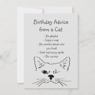 Birthday Advice from Winking Cat Fun Animal Humour