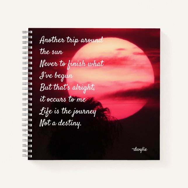 Birthday - Another Trip Around the Sun Notebook (Front)