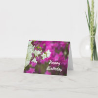 Birthday Azalea