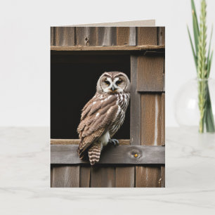 Birthday Barred Owl In Barn Window Card