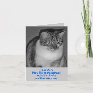 Birthday - Be Mary Card