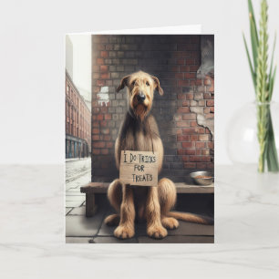 Birthday Begging Dog With Cardboard Sign Card
