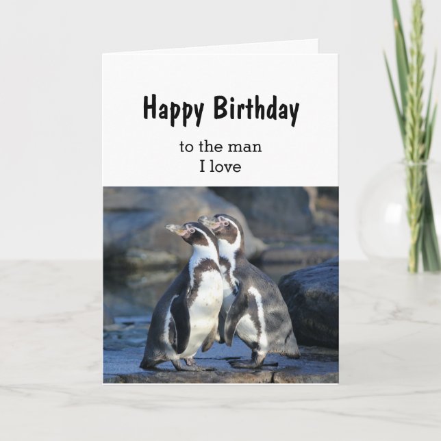 Birthday Bird Couple Man I love Card (Front)