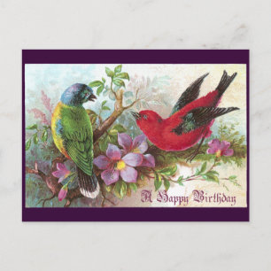 Birthday Birds 1800s Postcard