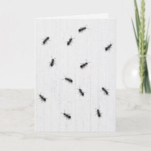 Birthday Black Ants on Whitewashed Wood Card