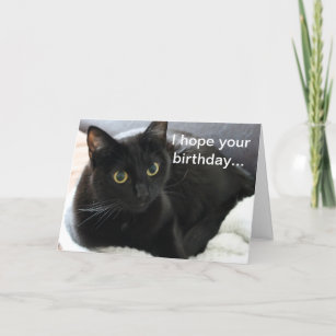 Black Cat Birthday Cards | Zazzle UK