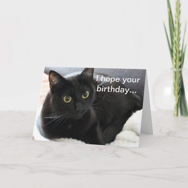 Birthday Black Cat Card (Front)