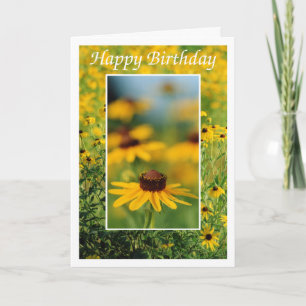 Birthday - Black-Eyed Susans Greeting Card