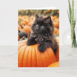 Birthday Black Kitten On Orange Pumpkin Card