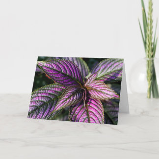 Birthday blessing photo card