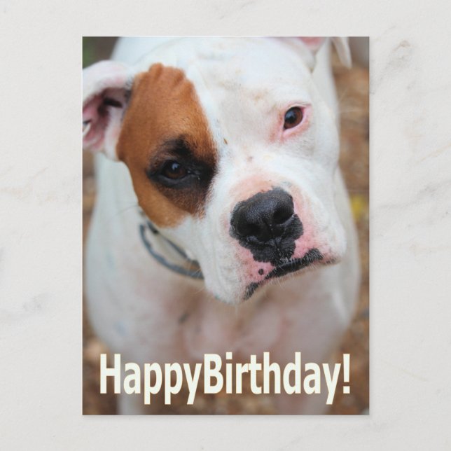 Birthday Boop Card (Front)