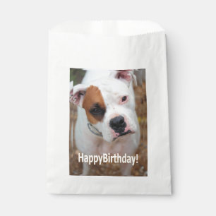 Birthday Boop Favour Bags