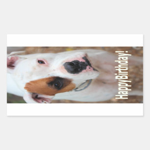 Birthday Boop Rectangular Sticker