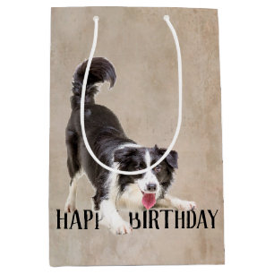 Birthday Border Collie  Medium Gift Bag
