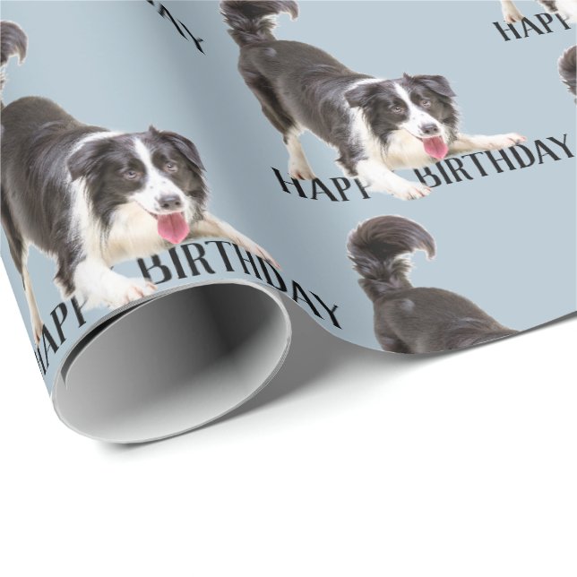 Birthday Border Collie on Blue Wrapping Paper (Roll Corner)