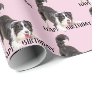 Birthday Border Collie on Pink Wrapping Paper