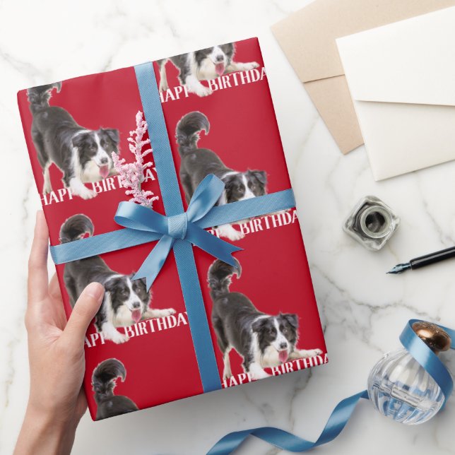 Birthday Border Collie on Red Wrapping Paper (Gifting)