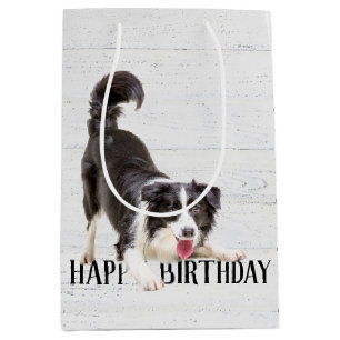 Birthday Border Collie on Wood Medium Gift Bag